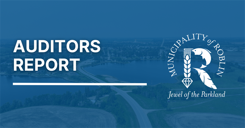 auditors_report(1)